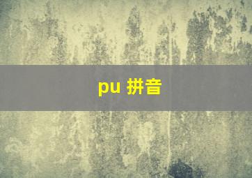 pu 拼音